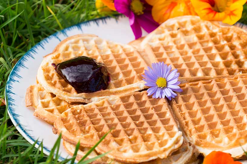 Wafels met kardemom op een bord op het gras